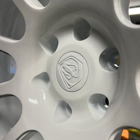 Peinture en poudre thermolaquage 1KG Primaire d'accroche Apprêt Garnissant