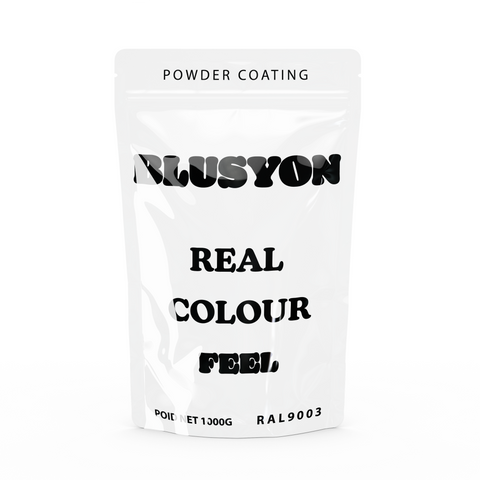 Peinture en poudre thermolaquage 1KG RAL 9003 Blanc Brillant